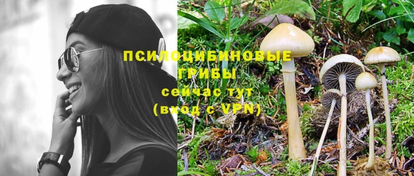 бошки Осташков