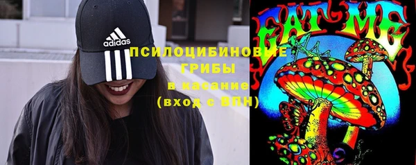 мдма Пересвет