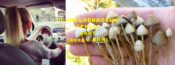 бошки Осташков