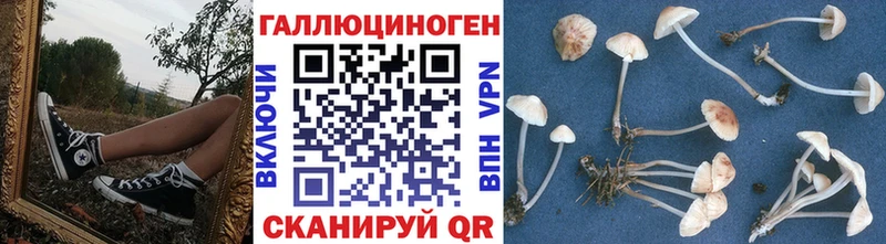 цены наркотик  Торжок  Псилоцибиновые грибы мухоморы 