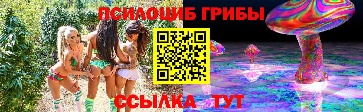 Галлюциногенные грибы GOLDEN TEACHER Торжок