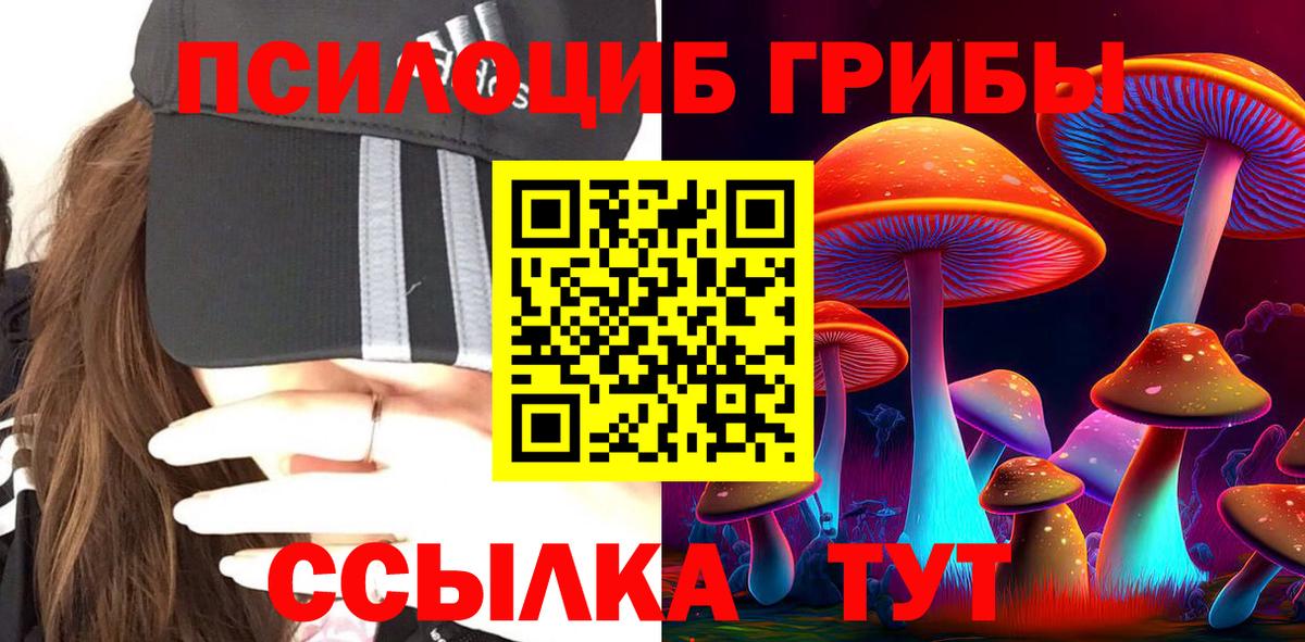 Псилоцибиновые грибы прущие грибы  Псилоцибиновые грибы Cubensis  купить наркоту  Торжок 