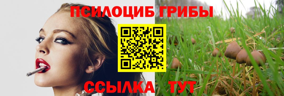 MDMA  Вход с VPN  Канабис  COCAIN  Меф кристаллы  Где купить  Экстази  Торжок  ГАШИШ  Мефедрон 